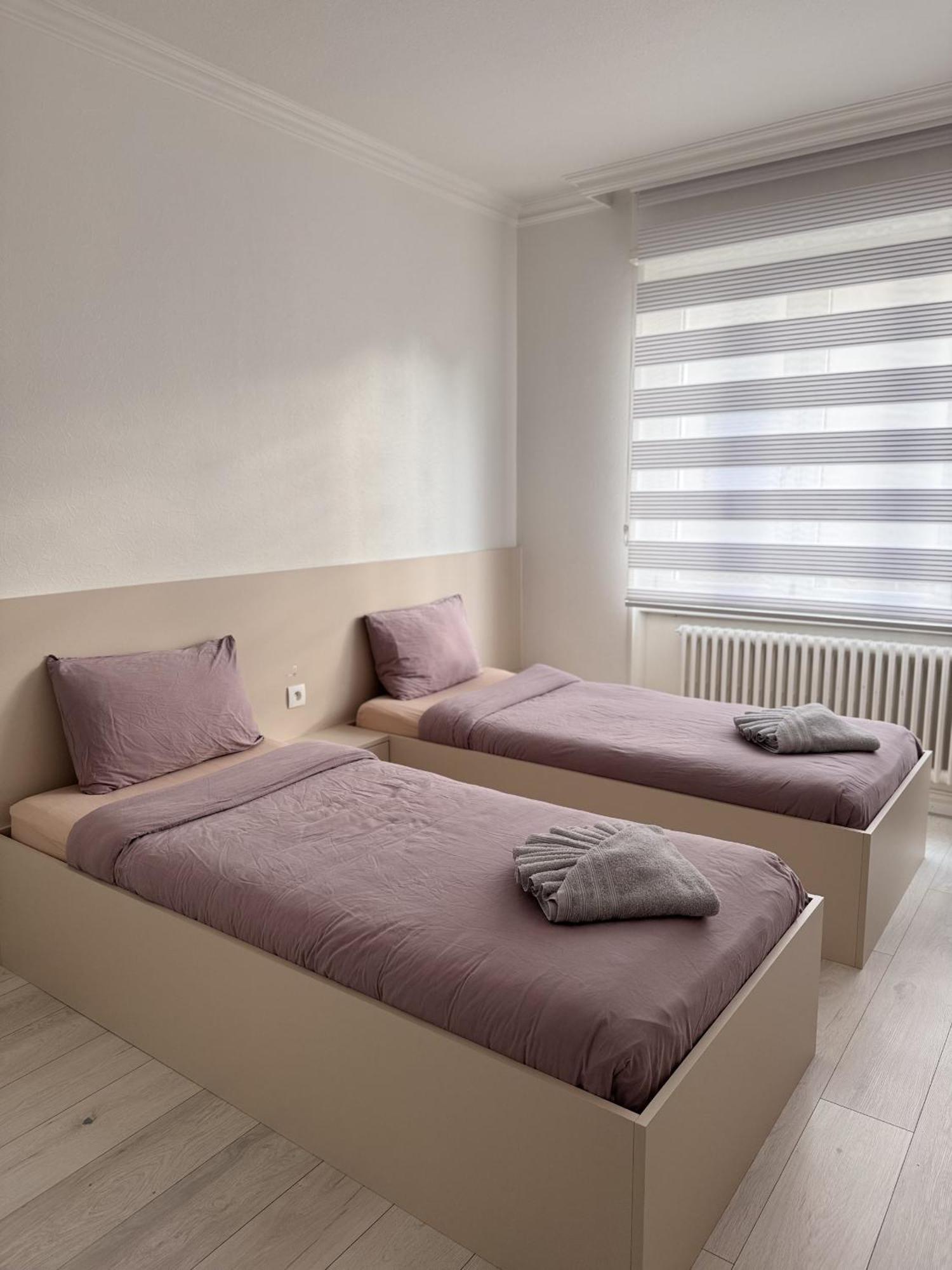 Appartement Des 3 Pays. 2 Mn De Bale+ Free Parking Saint-Louis  Exterior foto